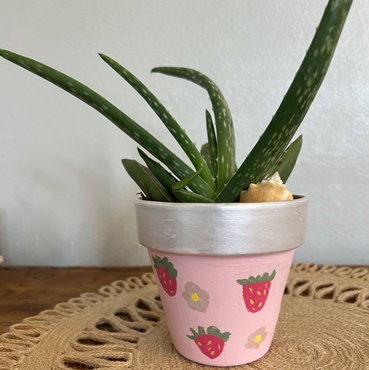 Succulent Planting with Kindness Plant