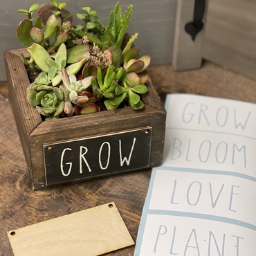 Succulent Planter Box with Interchangeable Panel