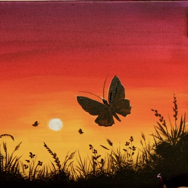 Sunset Butterfly ""